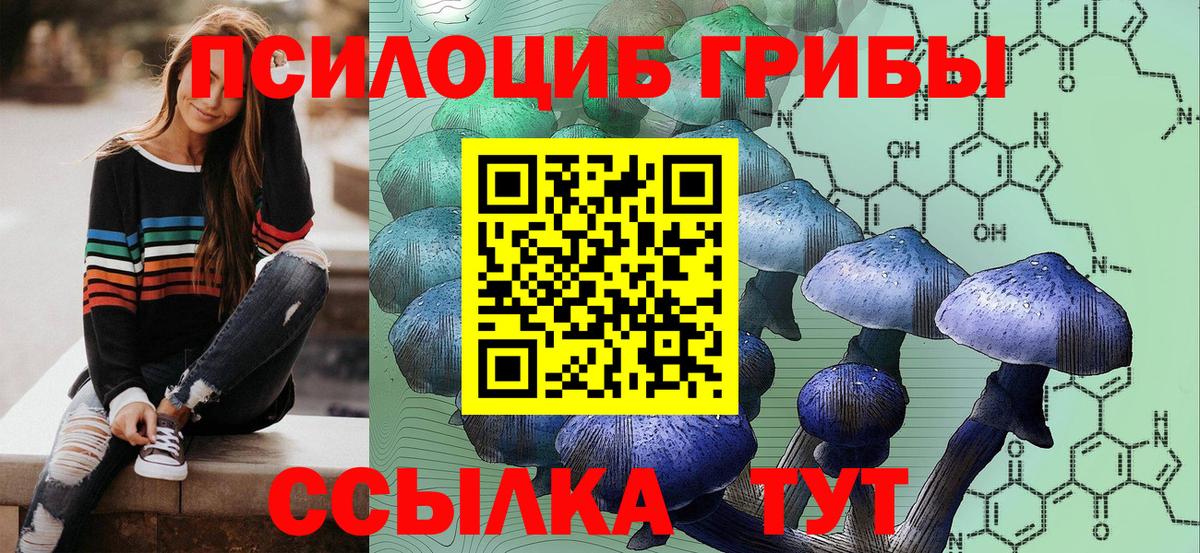 Псилоцибиновые грибы ЛСД  Вход с VPN  Калач-на-Дону  Галлюциногенные грибы Psilocybine cubensis 