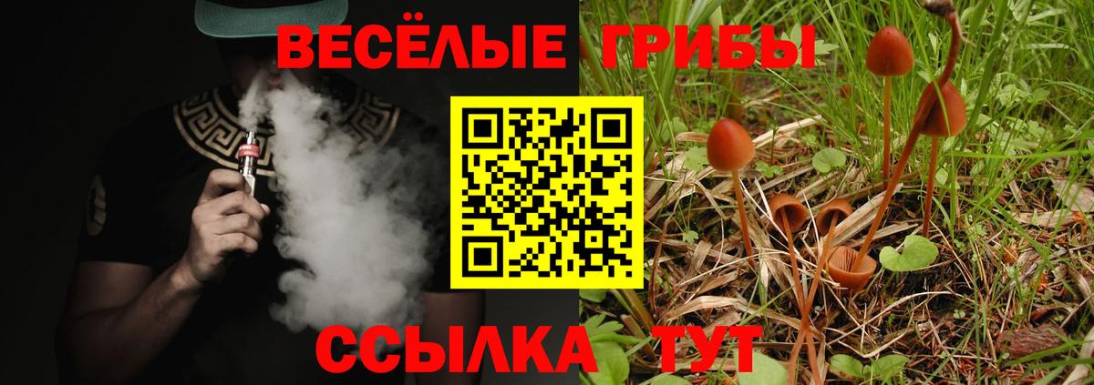 Псилоцибиновые грибы мицелий Калач-на-Дону